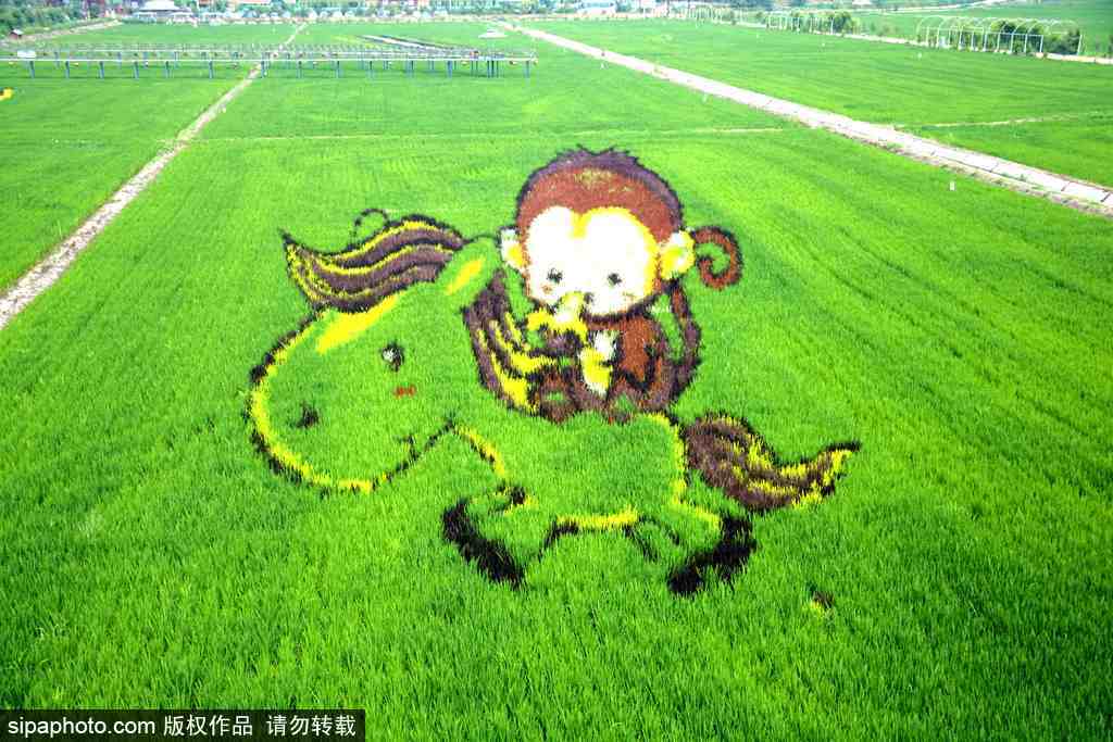 春回大地草木萌動 盤點(diǎn)那些農(nóng)田光景返樸歸真