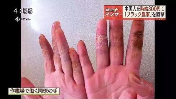 3000多名中國實習生在日本詭異