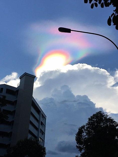 新加坡出現(xiàn)罕見