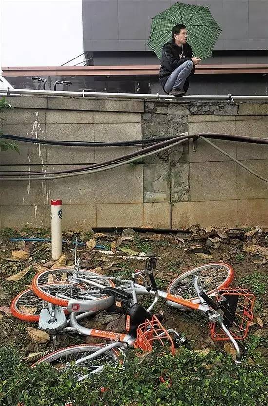 成都共享單車被燒毀 盤點N種被“玩壞”的共享單車