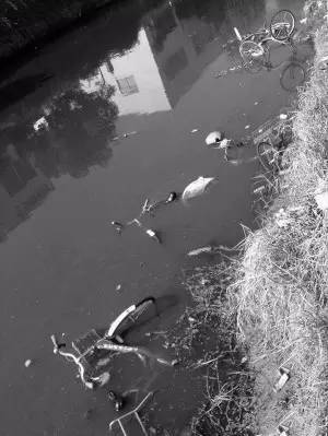 成都共享單車被燒毀 盤點N種被“玩壞”的共享單車