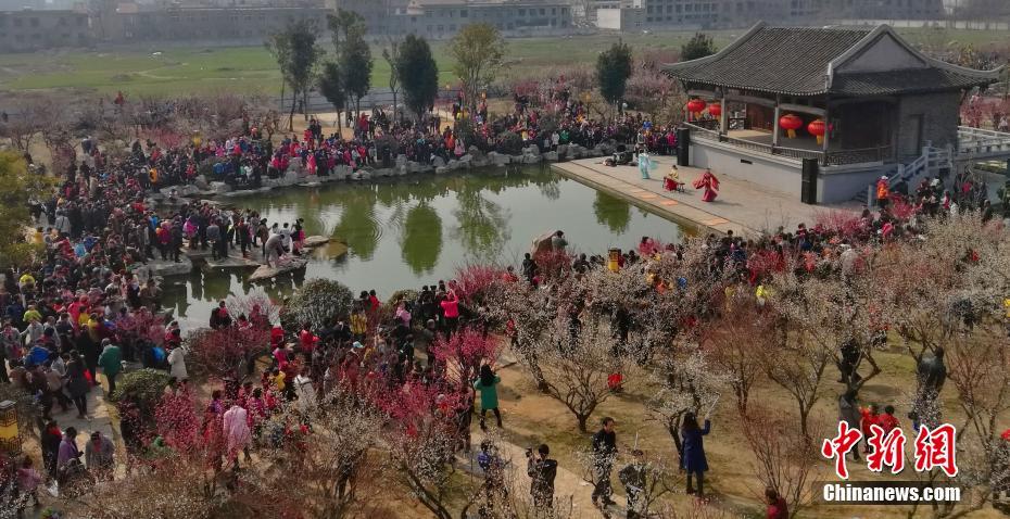 徐州梅花姹紫嫣紅迎春來 古風漢韻穿越秀（組圖）