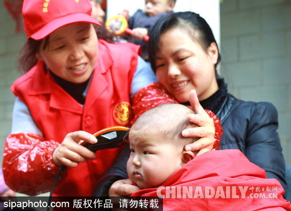 安徽合肥:二月二娃娃“剃龍頭”萌態(tài)百出(組圖)