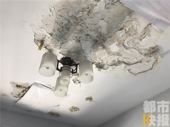 新房頂層八家住戶六家漏水 業主住進“水簾洞”（圖）