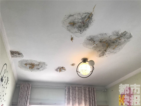 新房頂層八家住戶六家漏水 業(yè)主住進“水簾洞”（圖）
