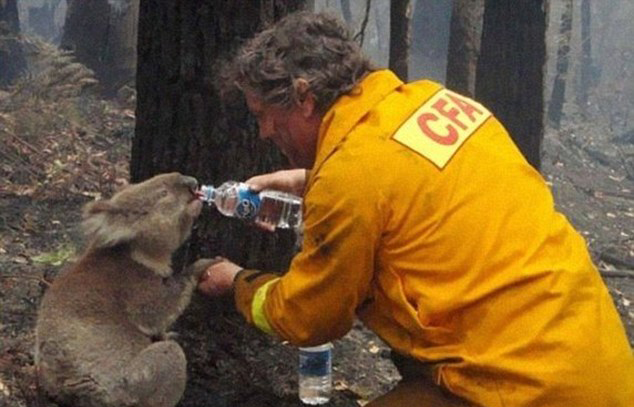 人間自有真情在！鏡頭記錄全球溫情瞬間（組圖）