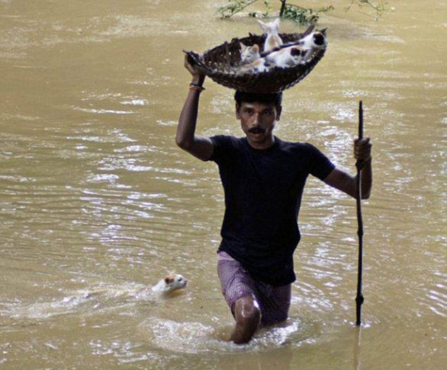人間自有真情在！鏡頭記錄全球溫情瞬間（組圖）