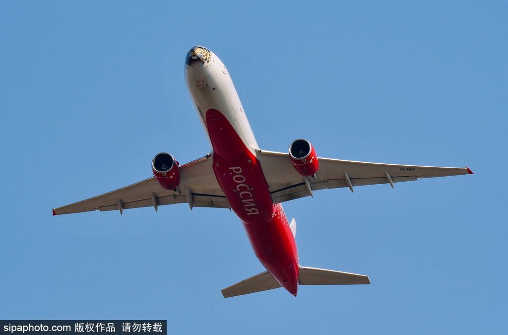 一頭豹子飛過來！俄羅斯飛機繪遠東豹圖案萌態十足