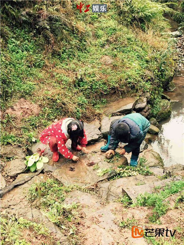 《變形計》回歸落戶芒果TV 首段故事湖南開錄