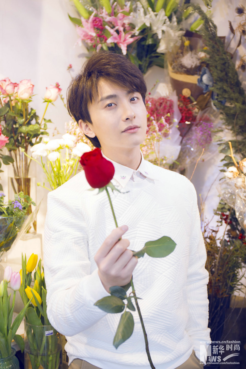 牛駿峰時尚大片曝光 清新暖男花中示愛