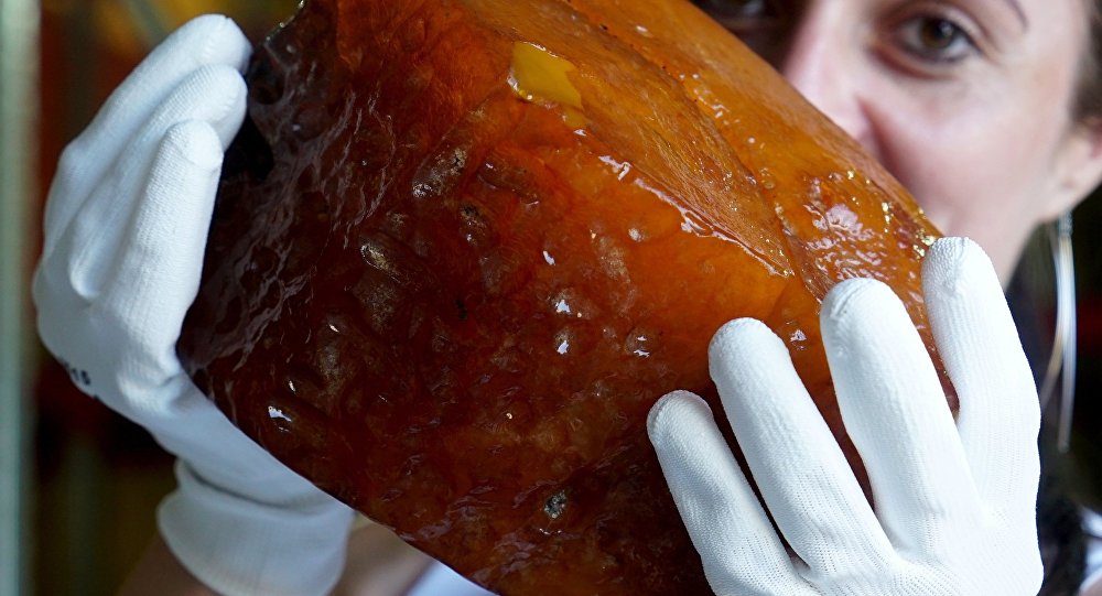 礦區挖出龍血琥珀 重達3公斤多已成化石