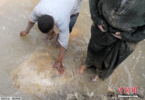 埃及現3000年巨型雕像 或為著名法老拉美西斯二世