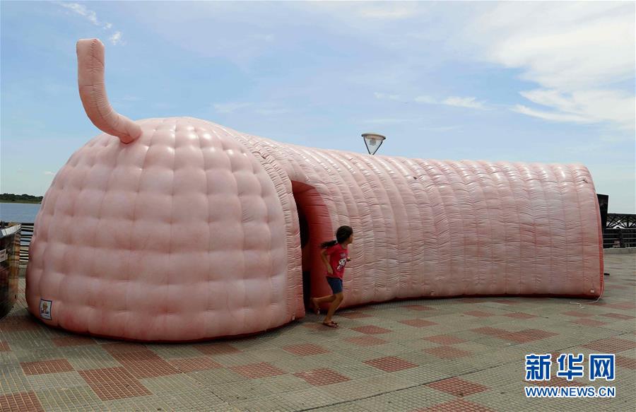 人造結腸示健康