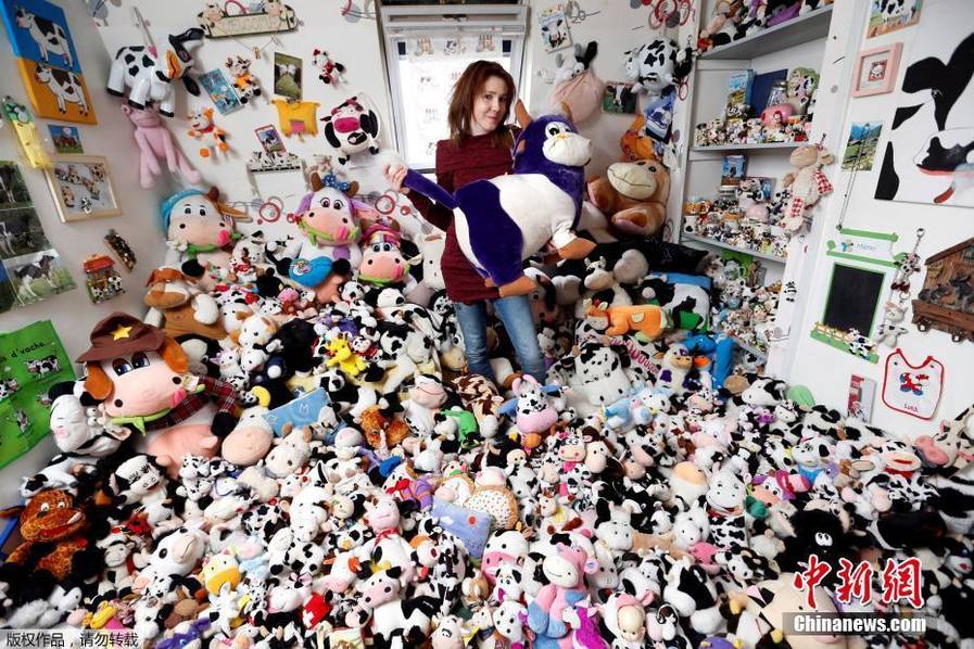 法國模特花7年收藏1679個奶牛玩偶[組圖]