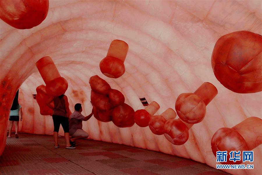 人造結(jié)腸示健康（圖）