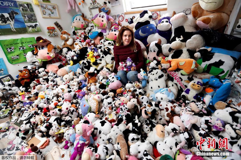 法國女?？釔凼占媾?與上千奶牛玩偶“同吃同住”