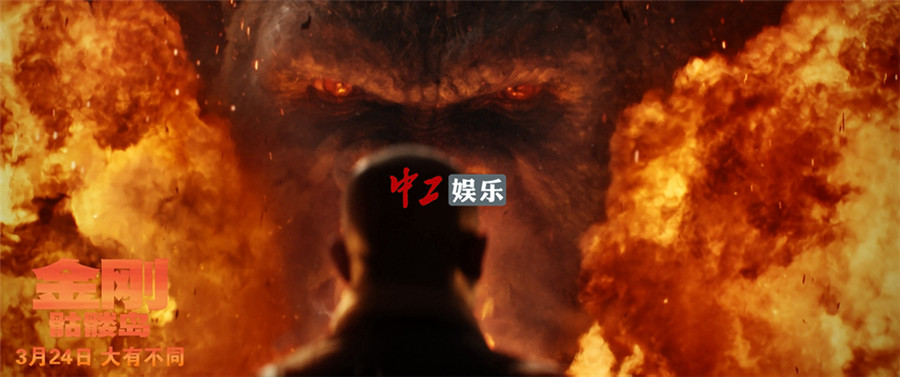 好評不斷！《金剛：骷髏島》群獸亂戰視效壯觀 最大金剛觸動人心