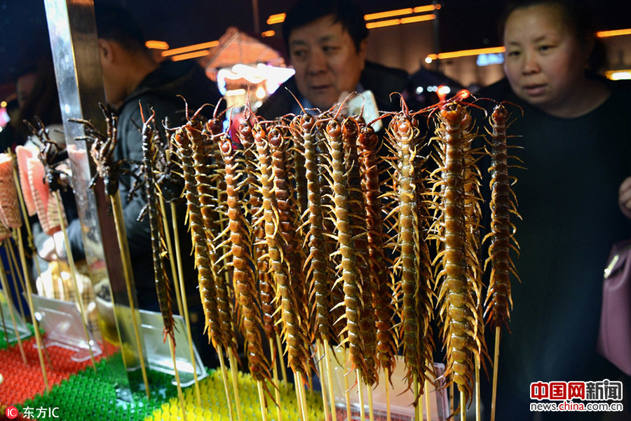 沈陽街頭現(xiàn)重口味“昆蟲宴”(組圖)