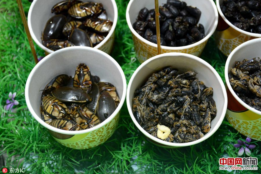 沈陽街頭現(xiàn)重口味“昆蟲宴”(組圖)