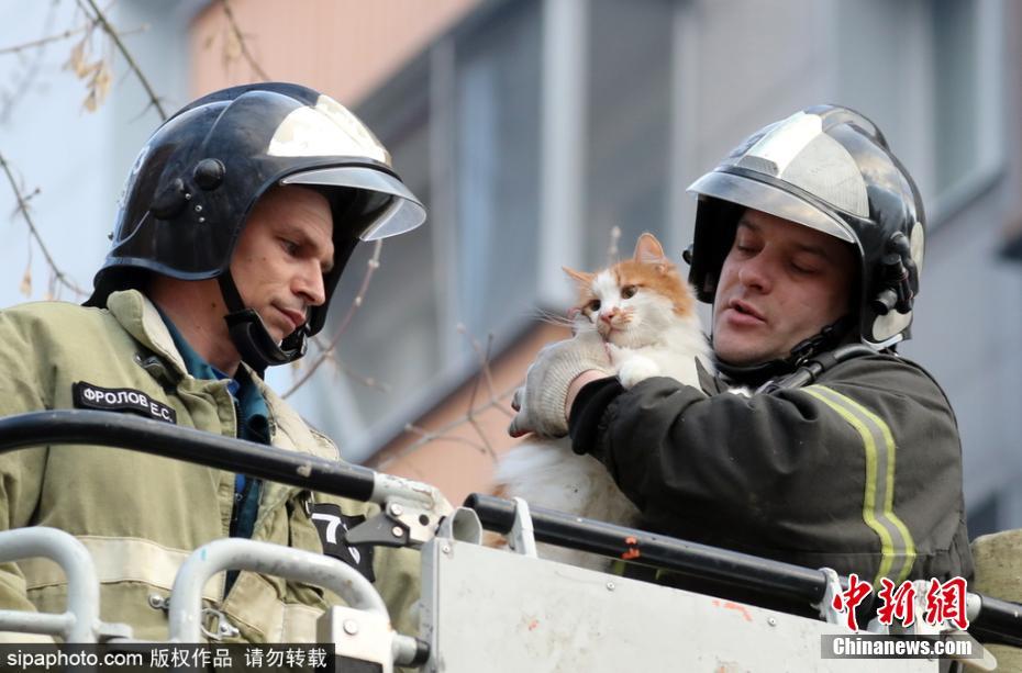 有愛！公寓樓天然氣爆炸 消防員救出被困小貓