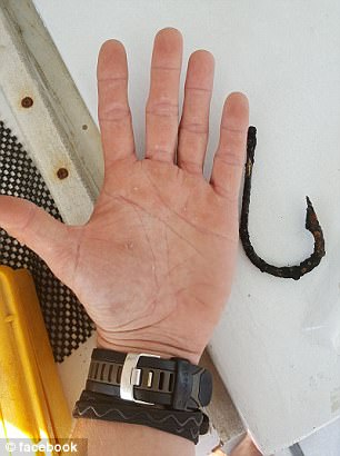 難以置信！鯊魚求救 讓潛水員拔出體內鉤子