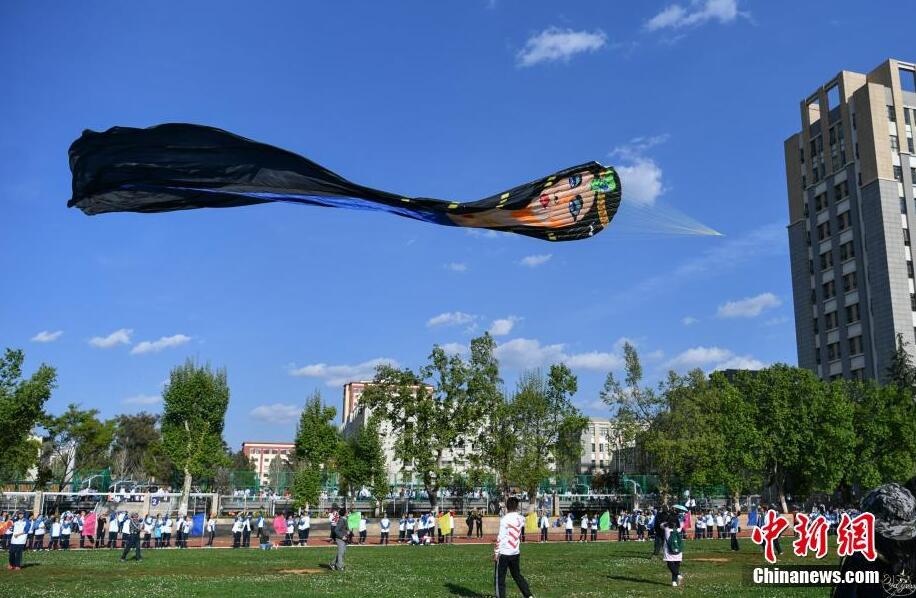 各類風(fēng)箏昆明藍(lán)天下“斗艷”