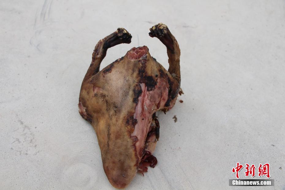 男子保護(hù)區(qū)內(nèi)持槍狩獵 竟把民警當(dāng)獵物射擊