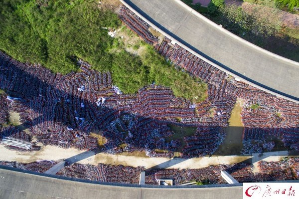 航拍廣州共享單車中轉(zhuǎn)站　密密麻麻如彈簧