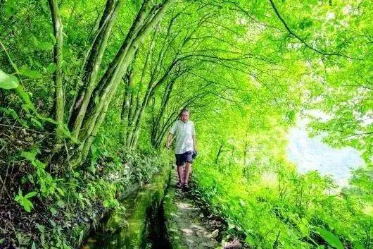 解碼中國丨這位當(dāng)代“愚公”在懸崖峭壁上鑿出7千米水渠,現(xiàn)實比神話傳說更震撼!