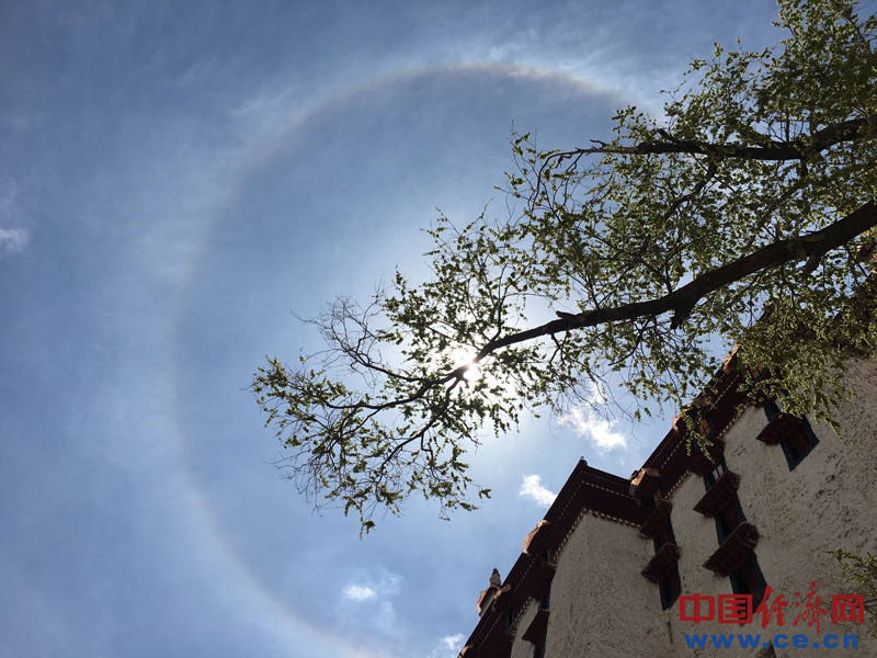 “日光之城”拉薩驚現日暈（組圖）