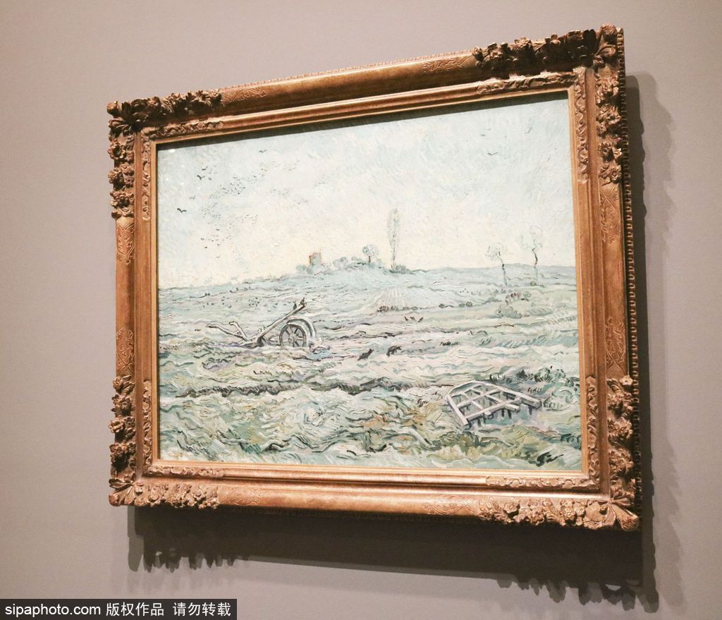 全球獨家！世界上首個梵高個人作品展在墨爾本舉辦