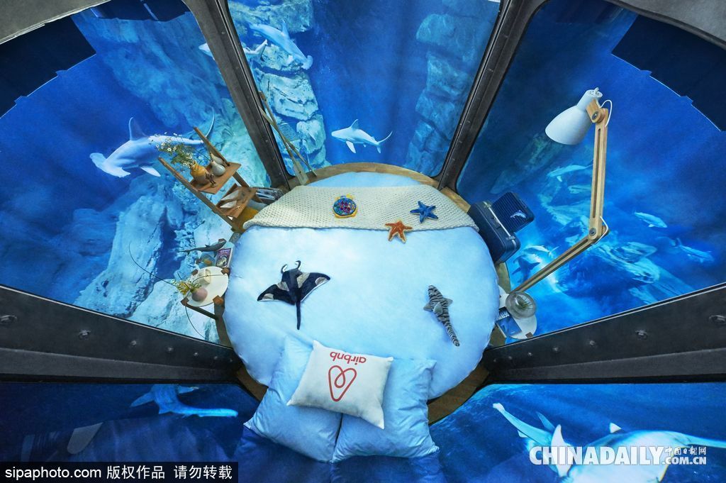 拼的就是創意 盤點水下世界趣聞不斷