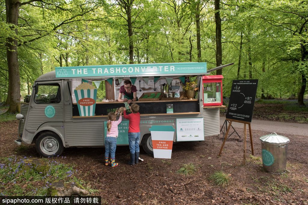 垃圾也是美麗的存在 英國迪恩森林“廢品”花叢