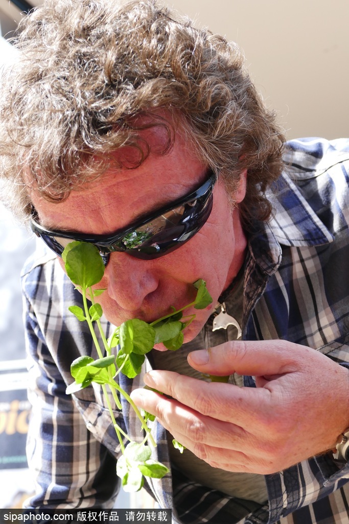 舌尖上的美食？英國吃豆瓣菜大賽眾選手大快朵頤瘋狂塞菜
