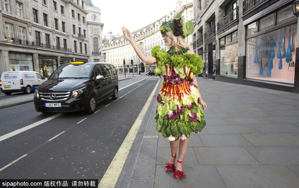 時尚bug沖擊！ 英國模特展示沙拉材料制成服裝
