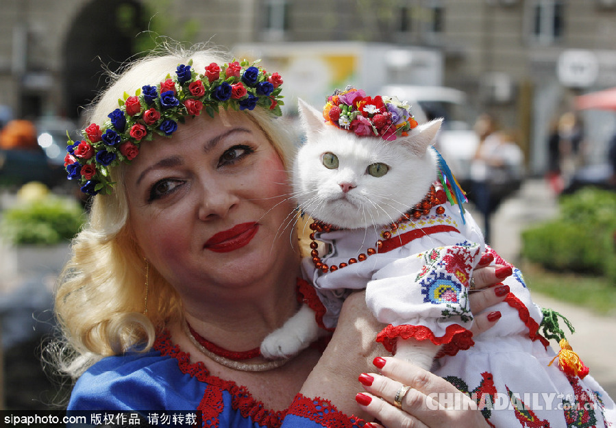 烏克蘭基輔傳統服飾大游行 喵星人身著繡花套衫美美噠