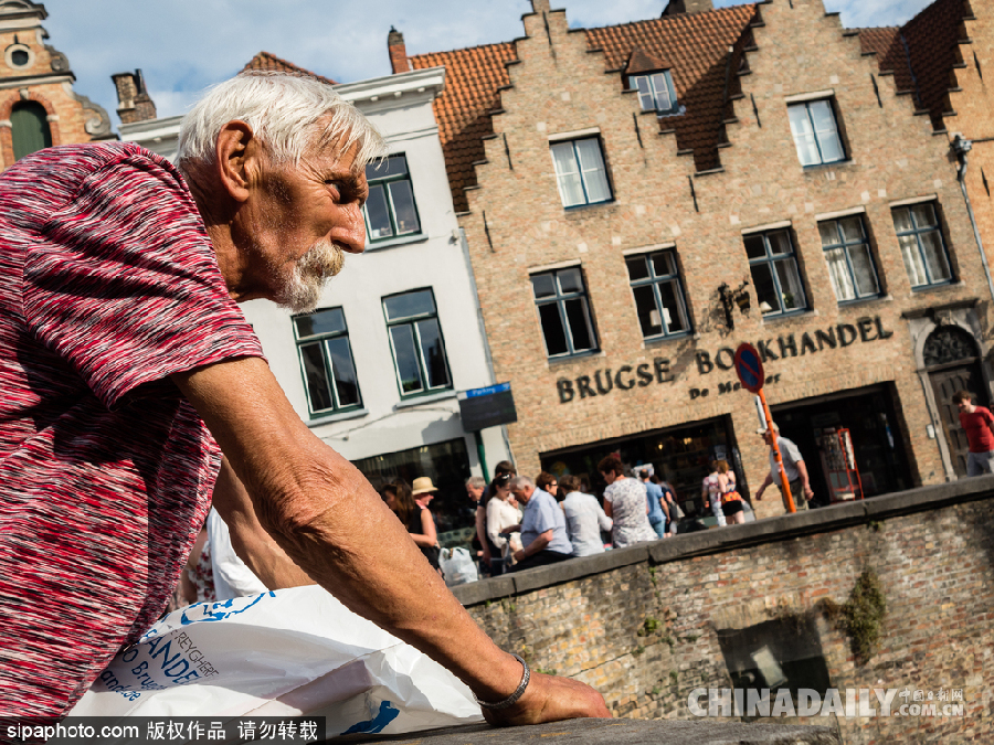 比利時布魯日迎來旅游旺季 夏日風光清新亮麗