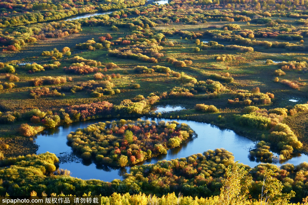 世界環境日 盤點國內絕美濕地風光