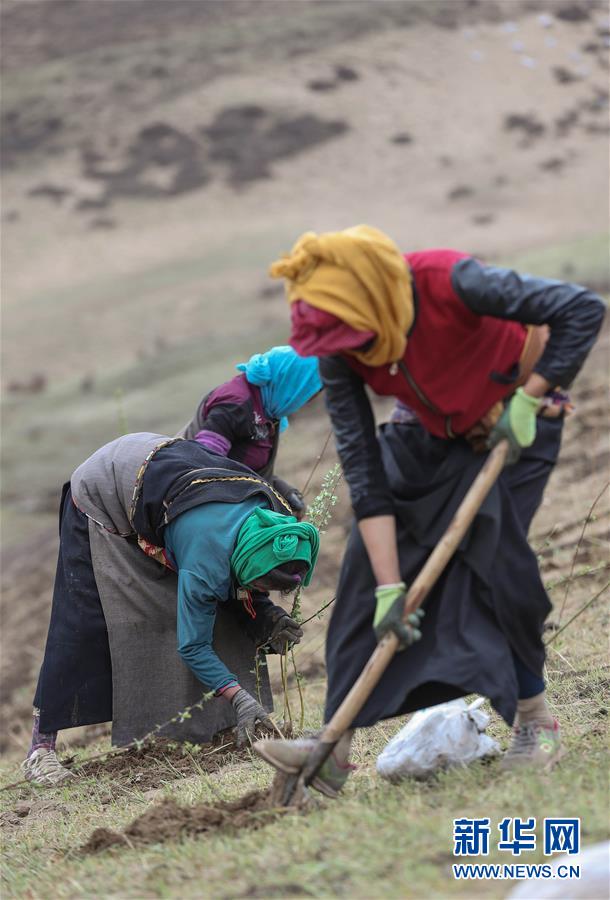 川西高原斗沙記