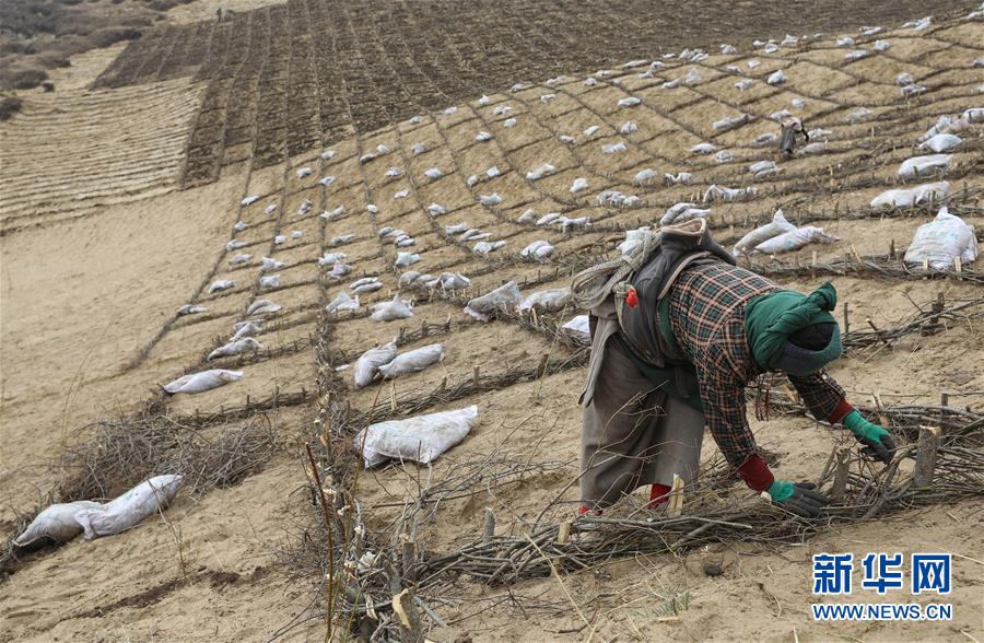 川西高原斗沙記