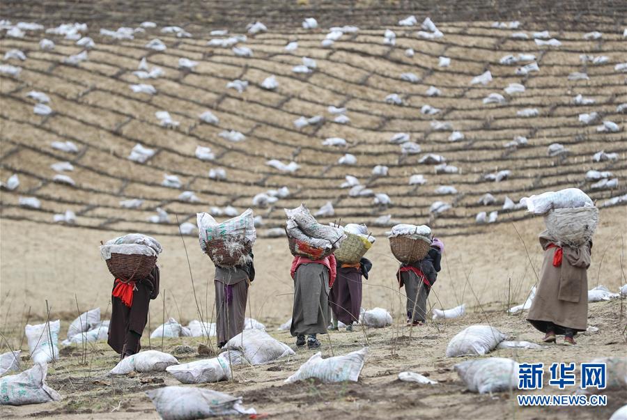 川西高原斗沙記