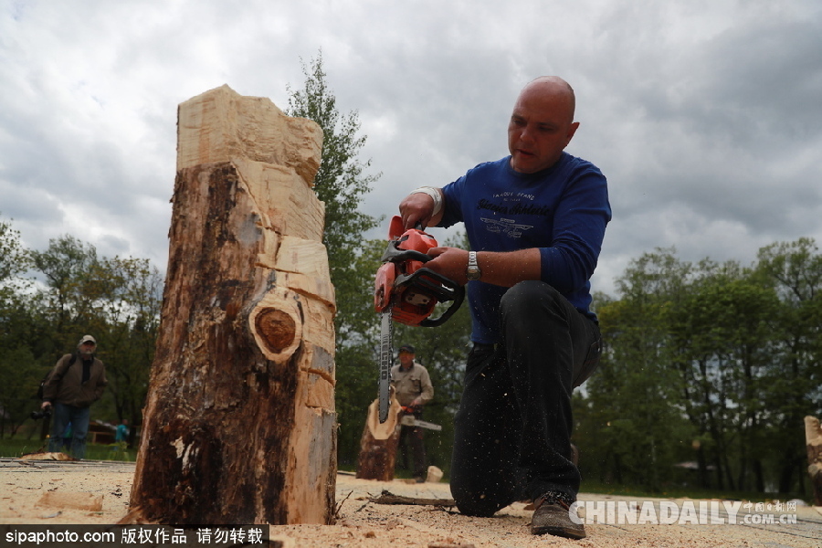 俄羅斯莫斯科舉行首屆根雕藝術節 形態各異