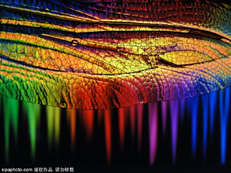 色彩大爆炸 沖擊視覺神經的彩色世界