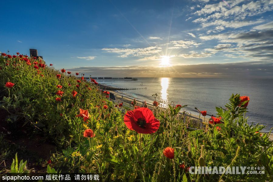 美到心坎里 英國索思沃爾德海邊風(fēng)光