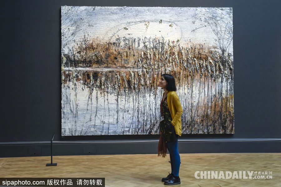 英國皇家學會2017夏季科學展 用藝術展現科技