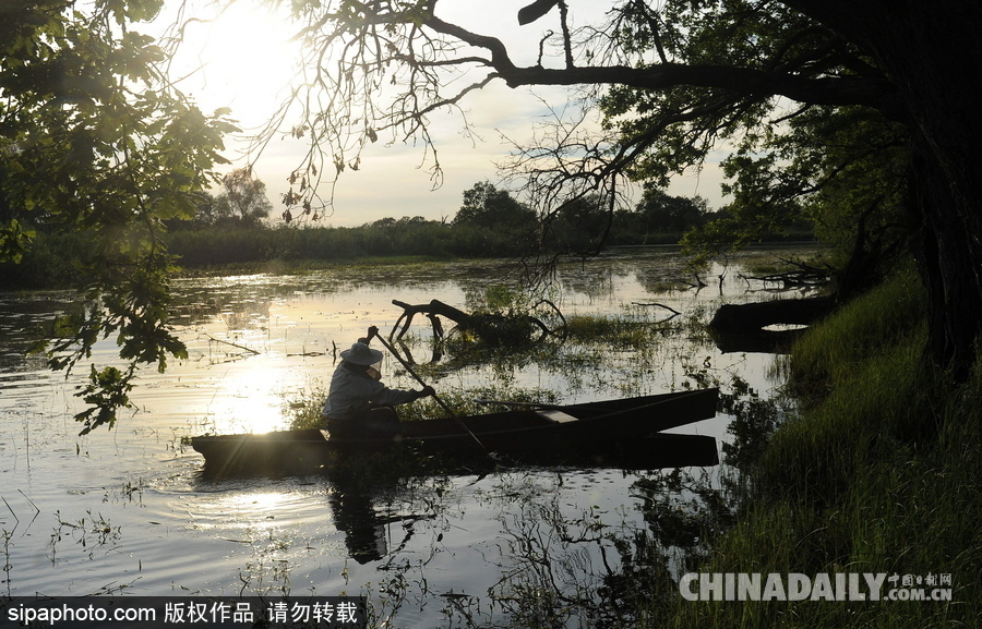 深山里的原生態蜂蜜 探訪白俄羅斯養蜂農場