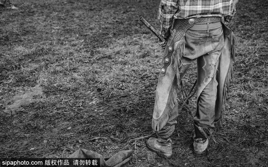 走進牛仔之鄉加拿大亞伯達 喚醒你心底沉睡的野馬