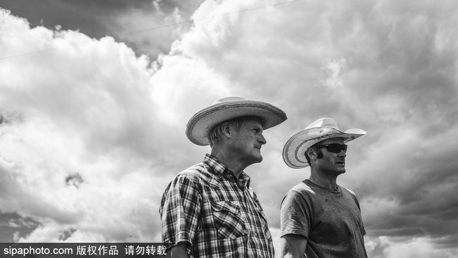 走進牛仔之鄉加拿大亞伯達 喚醒你心底沉睡的野馬