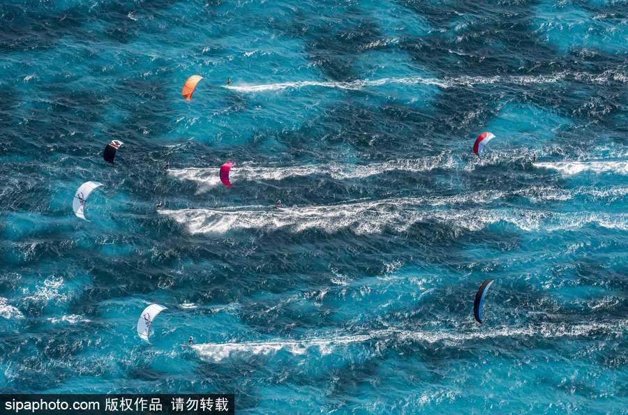 蔚藍國度 帶你領略神秘未知的海洋魅麗