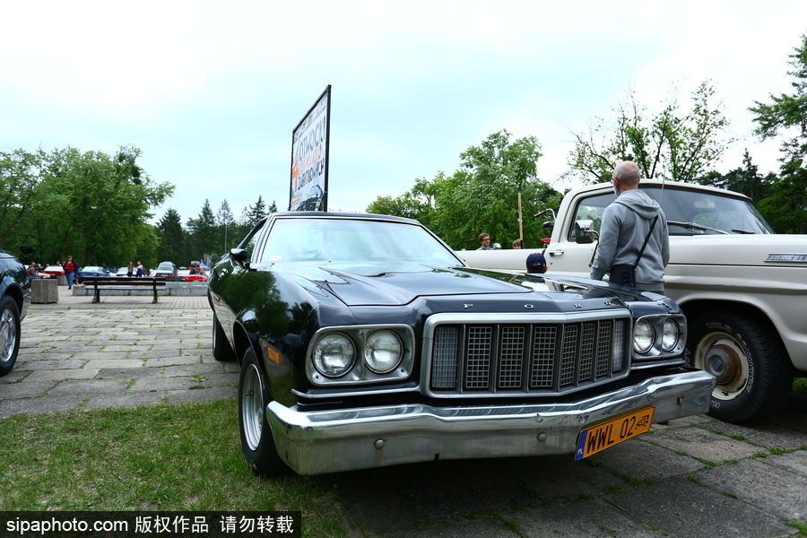 波蘭舉行復古車展 細數經典老爺車停留的歲月